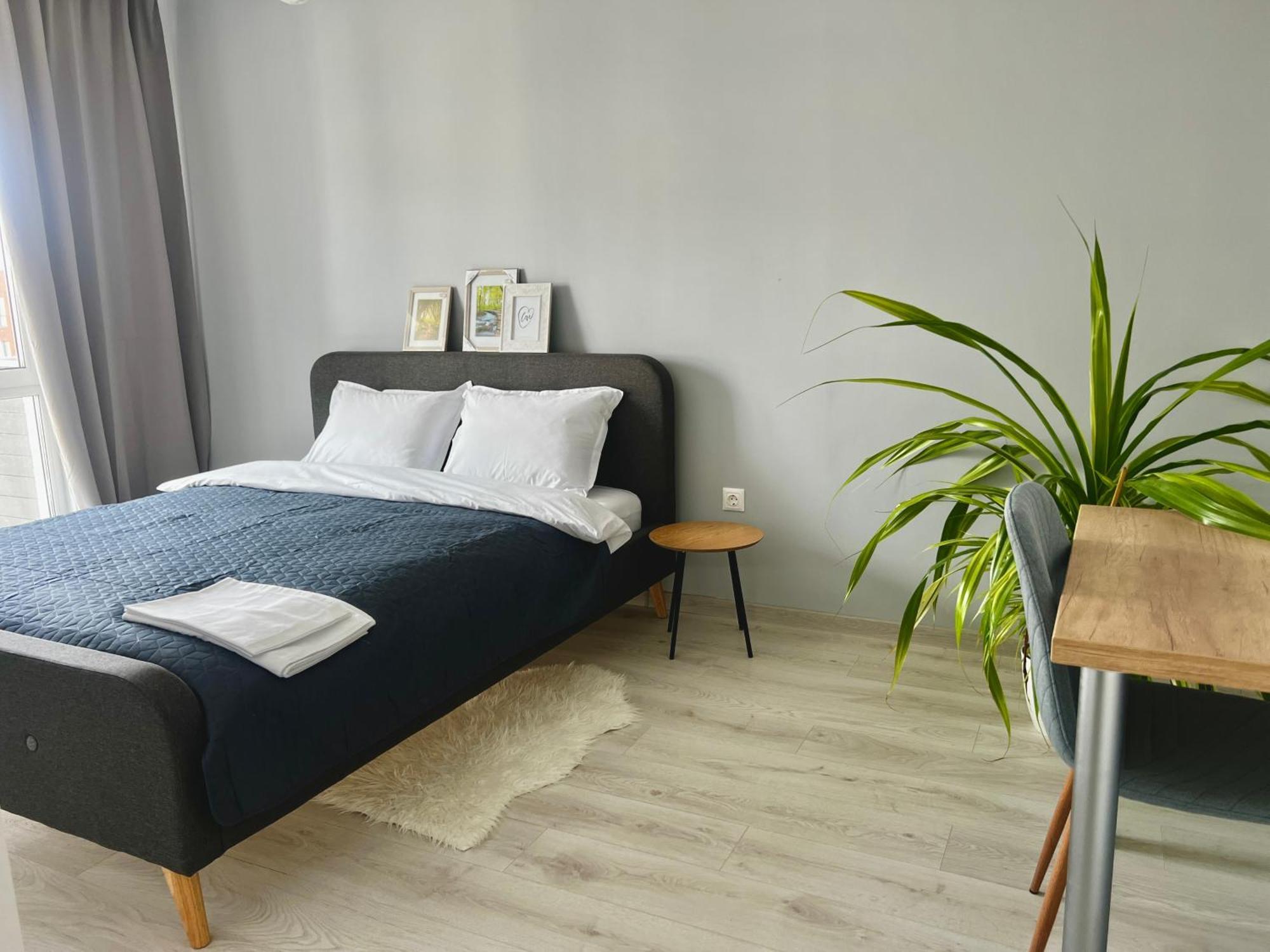 Blue Boho Studios And Apartments Брашов Экстерьер фото